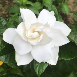 Meet your Posher, Natalia